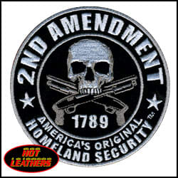 PATCH /"America/'s Freedom-The Right to Bear Arms/" Large 12/"